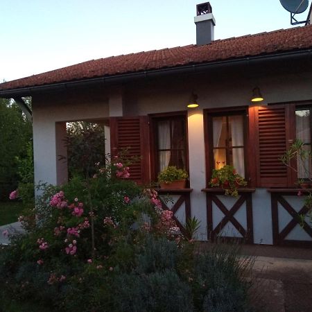 Appartamento Nikolija 1 Bajina Basta Esterno foto