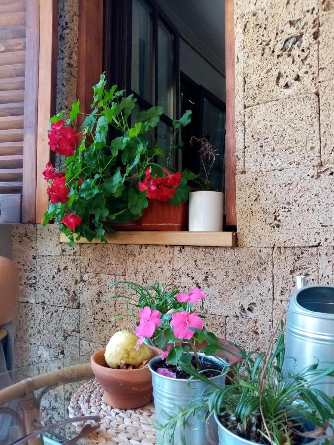 Appartamento Nikolija 1 Bajina Basta Esterno foto